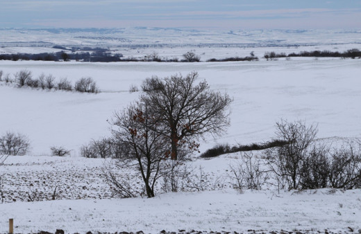 Hayrabolu'da kardan sonra ortaya kartpostallık görüntüler çıktı