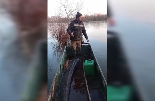 Amatör balıkçı 71 kilogramlık yayın balığı yakaladı!