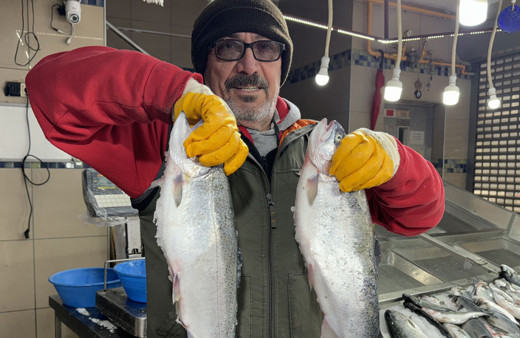 Sinop'ta 2023'te 26 bin 631 ton Türk somonu üretildi