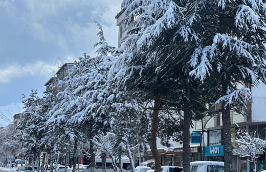 Tatvan’da araçlar kara gömüldü