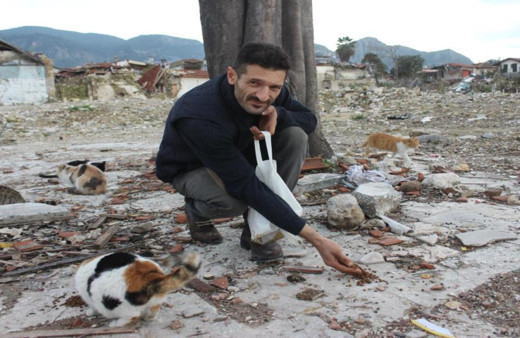 Enkaz kentin sokak hayvanlarına can oldu