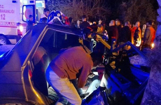 Otomobil palmiye ağacına çarptı: 1 ölü, 2 yaralı