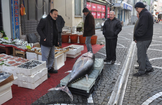 Balıkçı tezgahında sergilendi bakan bir daha baktı
