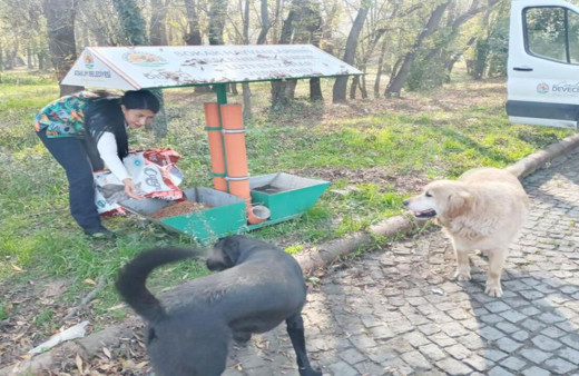 Samsun’da patili dostlara destek