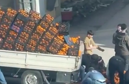 Bursa’da kamyonetten dökülen mandalinalar için herkes seferber oldu