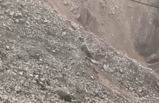 Malatya’da yaban keçileri sürü halinde görüntülendi