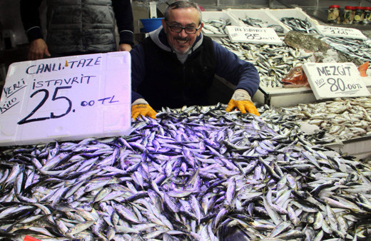 Karadeniz'de hamsinin yerini istavrit aldı