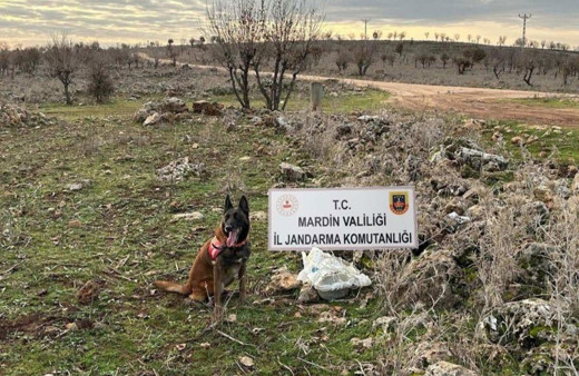 Mardin'de yola tuzaklanan EYP imha edildi!