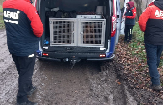 Çatalca'da alabora olan teknede suya düşen 1 kişi için arama çalışmaları sürüyor