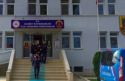 Ordu’da 100 bin TL’lik fındık çalan şüpheli yakalandı