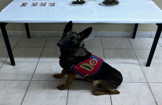 Narkotik köpeği ile arama yapılan araçta uyuşturucu ele geçirildi