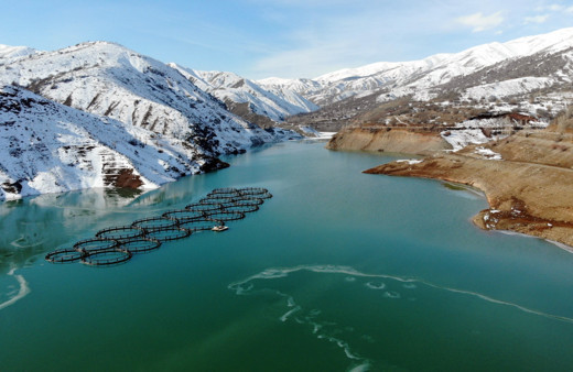 Erzincan'daki Göyne Sulama Barajı buzla kaplandı
