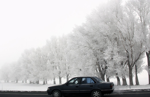 Türkiye’nin en soğuk yerleşim yeri Göle ve Refahiye oldu