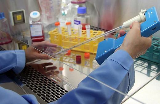 Türkiye Kök Hücre Koordinasyon Merkezi 3 ayda 8 hastaya umut oldu