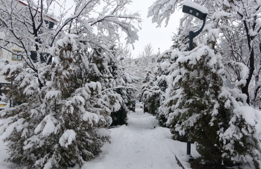 Bingöl’de kar kalınlığı yer yer 30 santimi aştı, 283 köy yolu ulaşıma kapandı