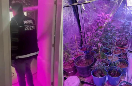 Evin bir odasını uyuşturucu serasına çevirmişler!