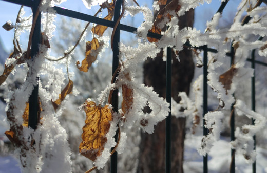 Ardahan’da dondurucu soğuklar başladı, eksi 32 dereceyi gördü