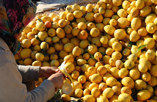 Meyvesi yüz güldürmedi kabuğu altın oldu