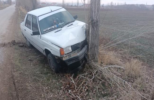 Köpeğe çarpmamak için manevra yapan araç ağaca çarptı