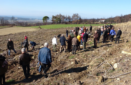 Trafik kazasında hayatını kaybeden genç avukatın adı hatıra ormanında yaşayacak