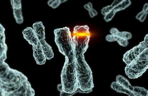 Kromozom bozukluğunu genetik testlerle teşhis etmek mümkün