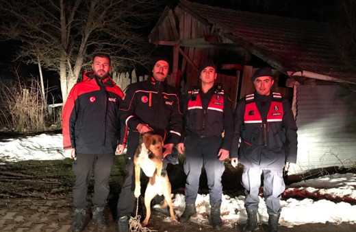 Kayalıkta mahsur kalan köpek kurtarıldı