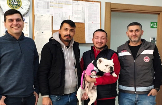 Kırklareli’de kaybolan köpek çip sayesinde bulundu
