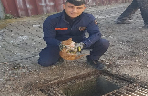 Mazgalın içinde mahsur kalan kedi itfaiye tarafından kurtarıldı