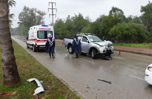 Yolda kayan kamyonet refüjdeki palmiyeye çarptı