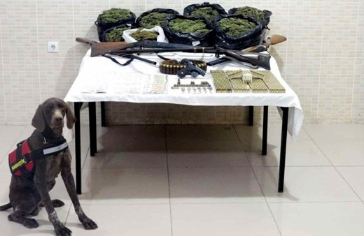 İzmir'de 10 kilo 500 gram esrar ele geçirildi!