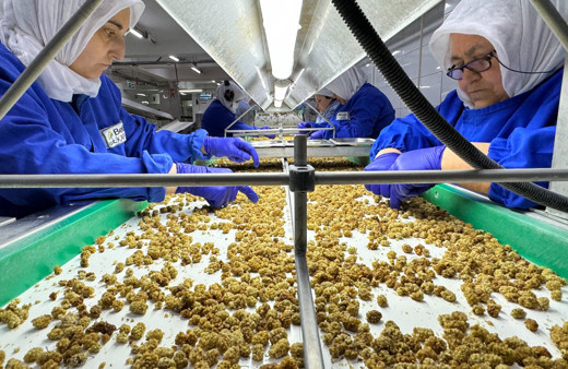 Türkiye organik ürün ihracatında 1 milyar dolar sınırını aştı