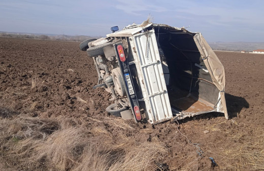 Kontrolden çıkan kamyonet tarlaya uçtu