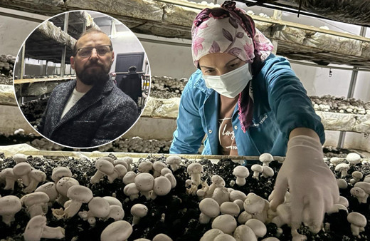 Boşluğu tespit edince bu işe başladı ihya oldu! 24 yıllık mimar yılda 60 ton mantar üretip satıyor