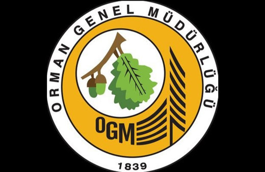 Muğla'da yanan ormanlık alana otel inşa edildiği iddiaları yalanlandı