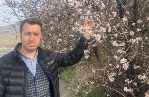 Malatya’da badem ağaçları çiçek açtı