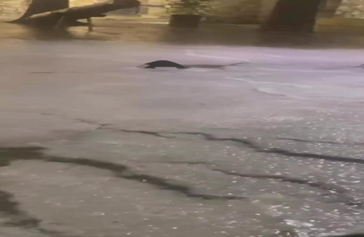 Çeşme’de sağanağın ardından dolu yağışı etkili oldu