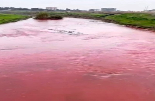 Kırmızı akan Berdan Nehri normale döndü