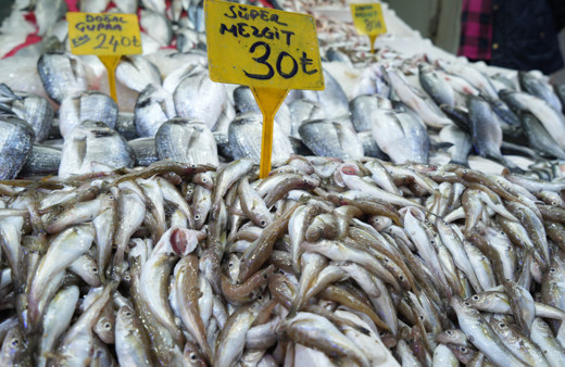 Kilosu 30 TL'ye satılan balıklara ilgi gösterilmiyor