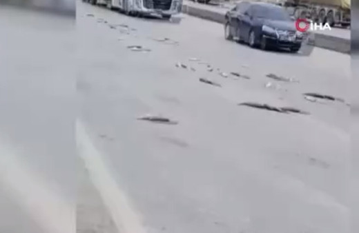 Balık yüklü kamyonet kaza yaptı, kilolarca balık yollara saçıldı