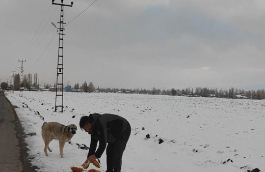 Zorlu kış şartlarında hayvanlara kucak açtı