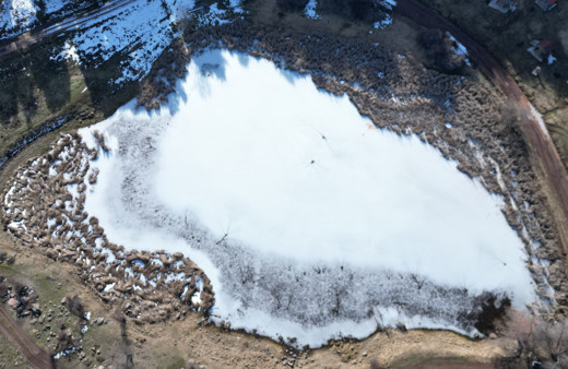 Kar yağmayan Sivas’ta göl buz tuttu