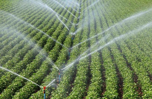 Güneydoğu Anadolu'da yer altı suları alarm veriyor!