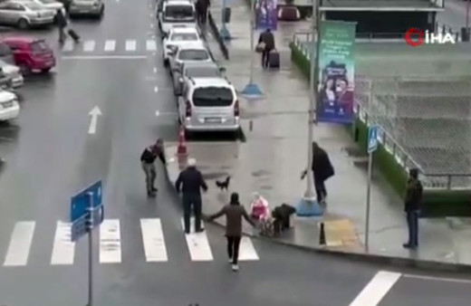 Kaçak horoz, Esenler Otogarını birbirine kattı!