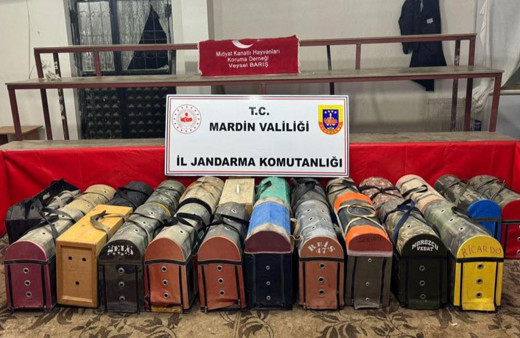 Mardin'de 54 horozu dövüştüren 83 kişiye 578 bin lira ceza!