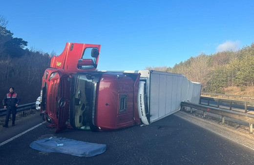 Kontrolden çıkan tır devrildi: 1 yaralı