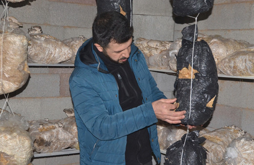 Sosyal medyada gördü evin üst katını üretim tesisi yaptı marketlere satarak para kazandı