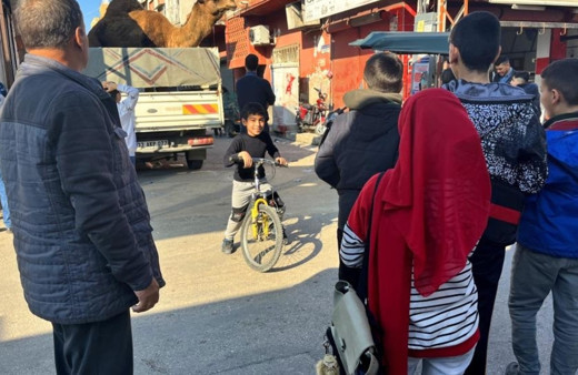 Adana'da deve kesilmekten son anda kurtarıldı