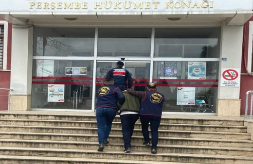 Ordu’da evden hırsızlık yapan şahıs tutuklandı