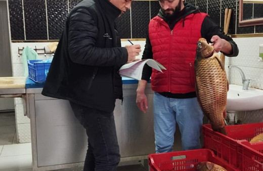 Beyşehir Gölü’nde av faaliyetlerine yönelik denetimler sürüyor