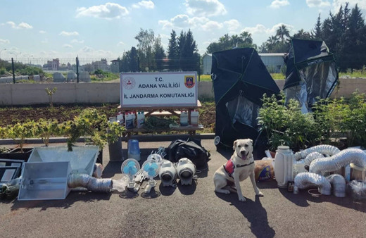 İklimlendirme sistemiyle kenevir yetiştiren 5 şüpheli yakalandı!